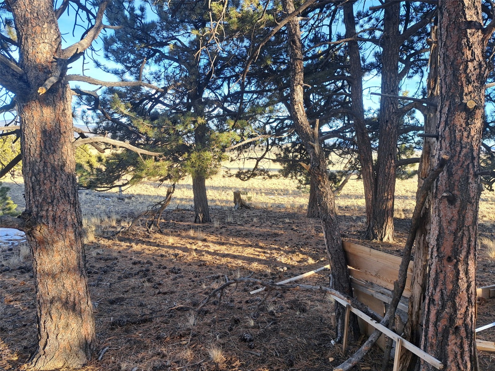 186 Boulder Road Hartsel, CO 80449 - Photo 25 of 33 Gallery Image 25