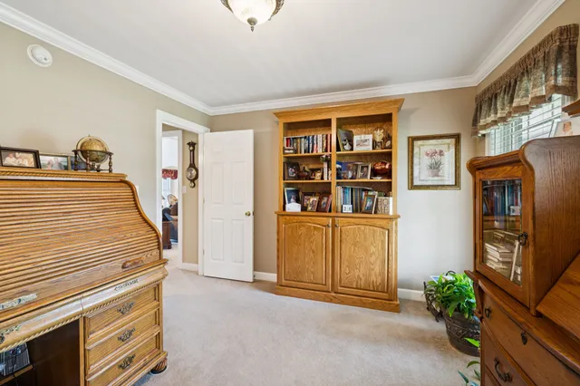 a view of a patio with couches plants and large trees