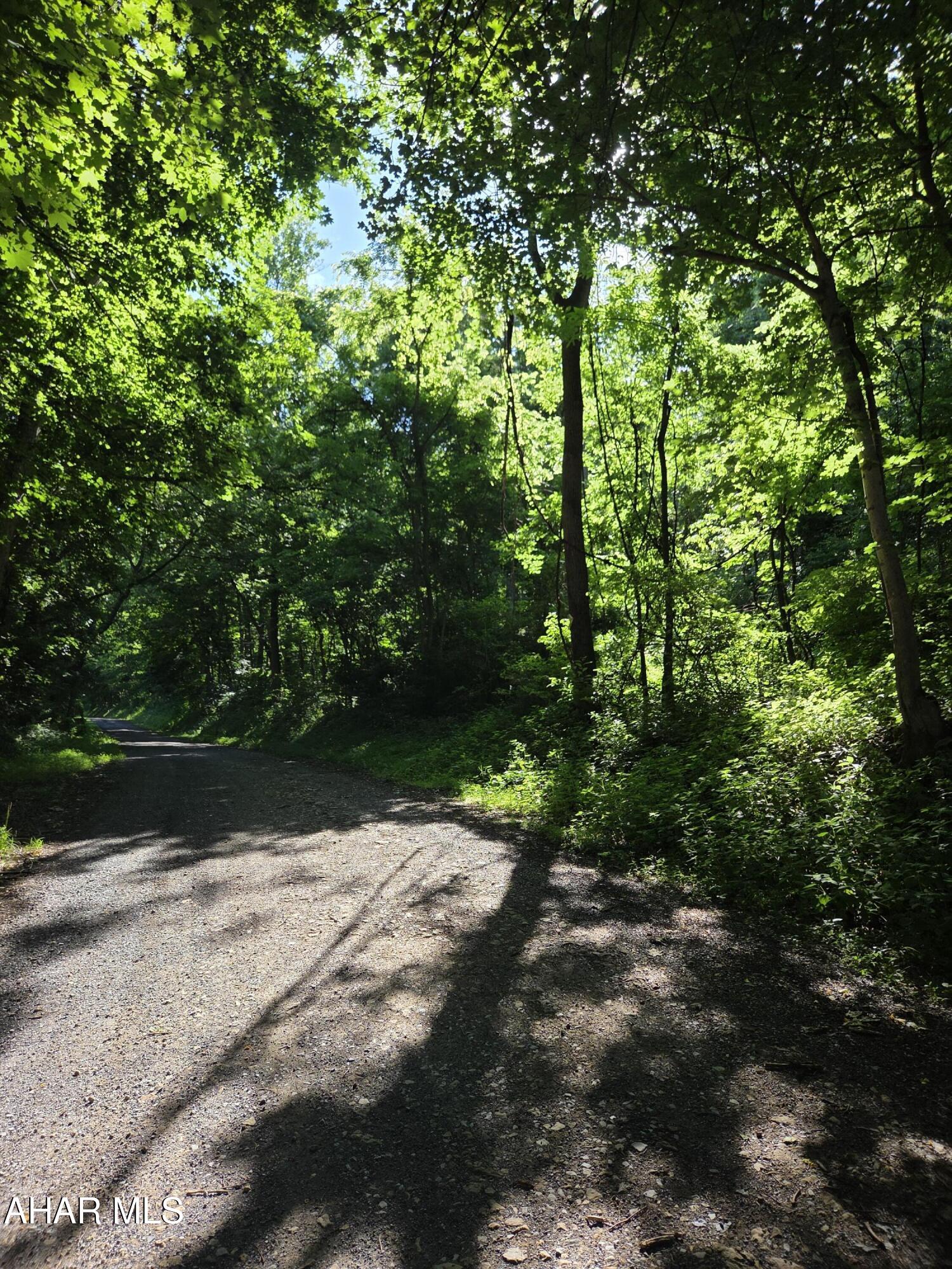 0 Sugar Ridge Road McVeytown, PA 17051 - Photo 5 of 19