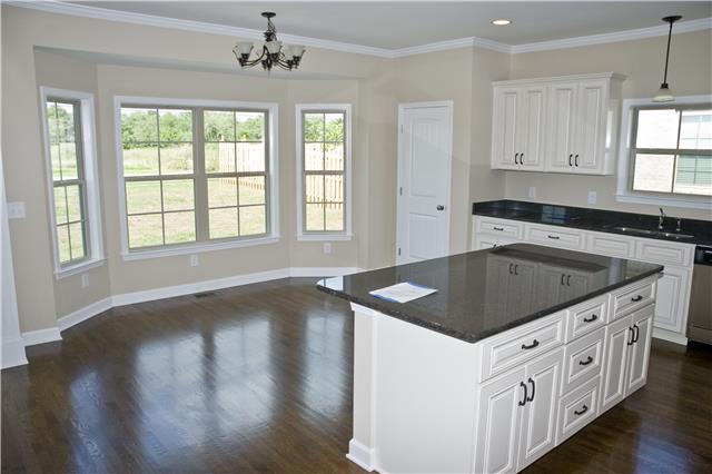 8004 Ragusa Circle Spring Hill, TN 37174 - Photo 9 of 19 Gallery Image 9