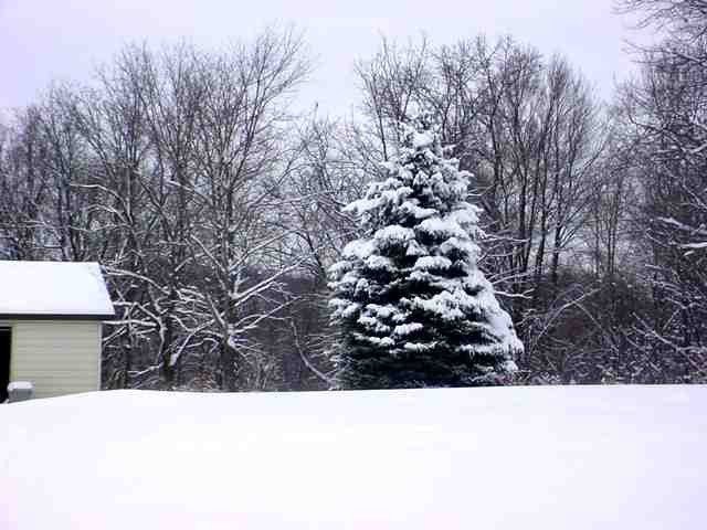 1650 Lindsey Road Jackson, MI 49201 - Photo 3 of 3 Photo 3
