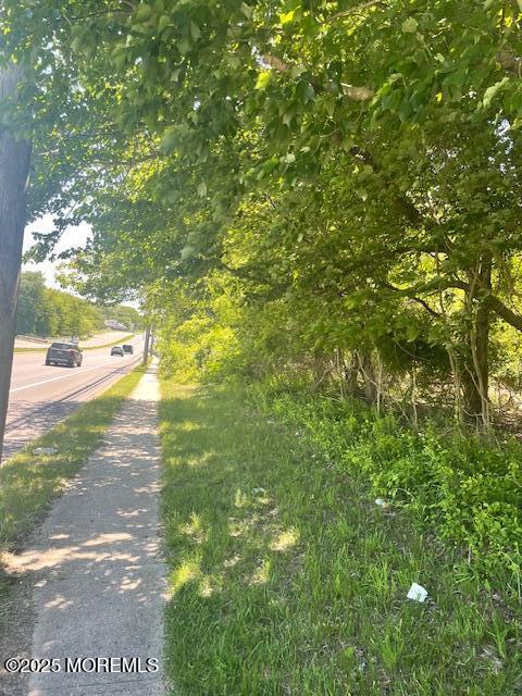a view of a yard with a tree