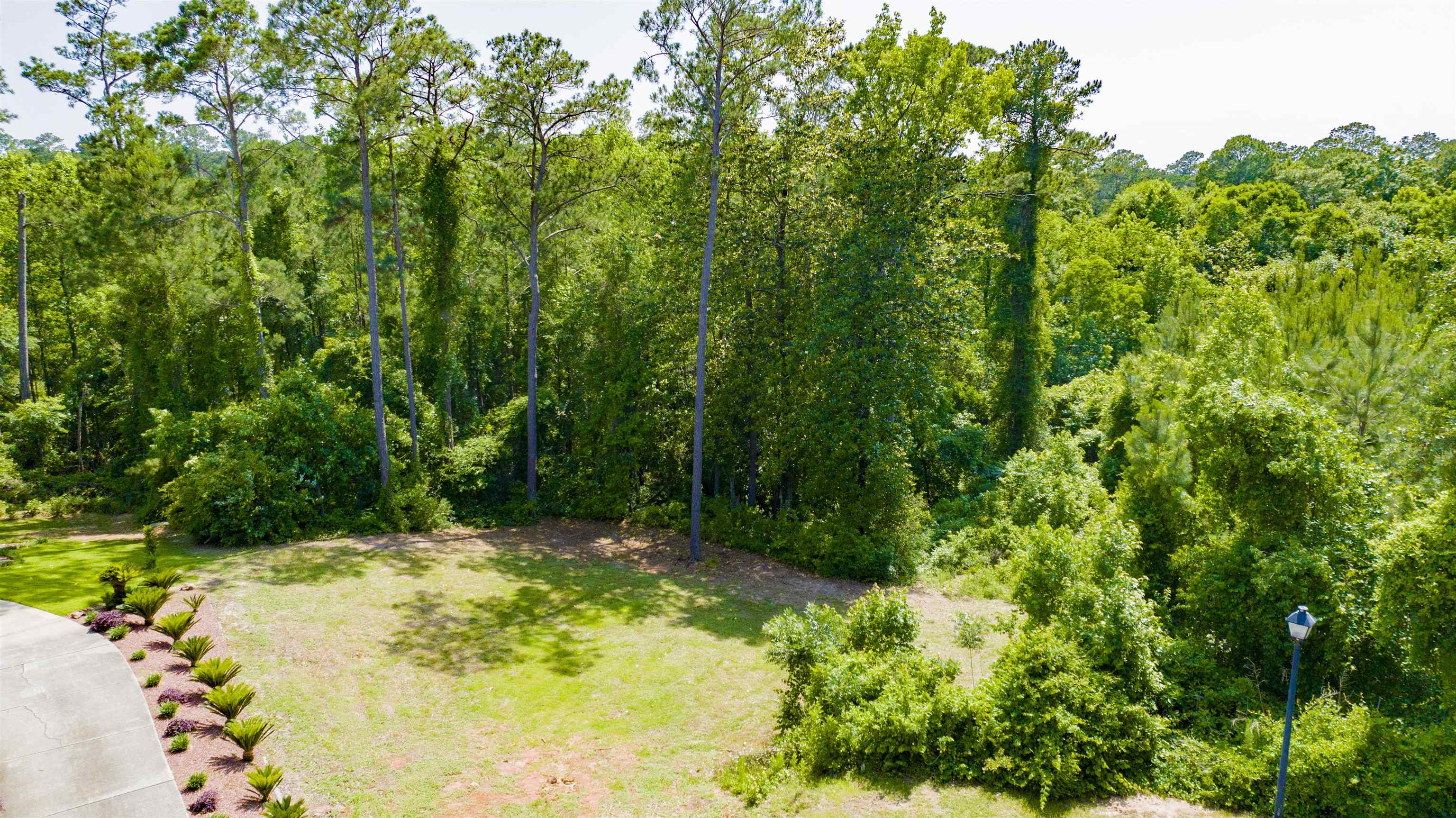 9 Judd Trail Daphne, AL 36527 - Photo 5 of 13