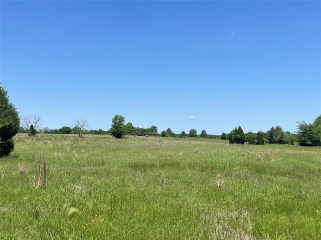a view of a field with an ocean