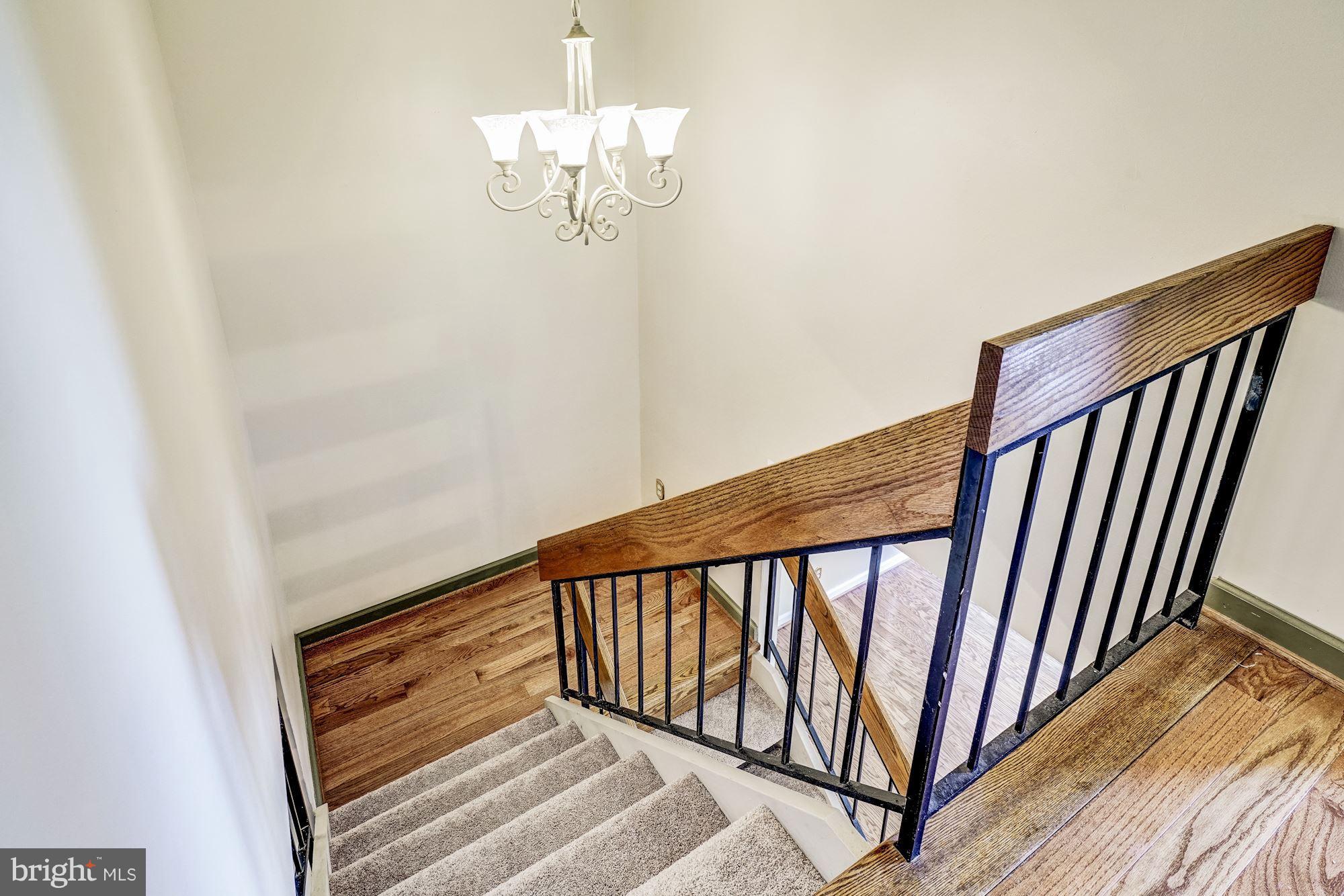 2254 Coppersmith Square Reston, VA 20191 - Photo 18 of 25 New Carpet on Staircase