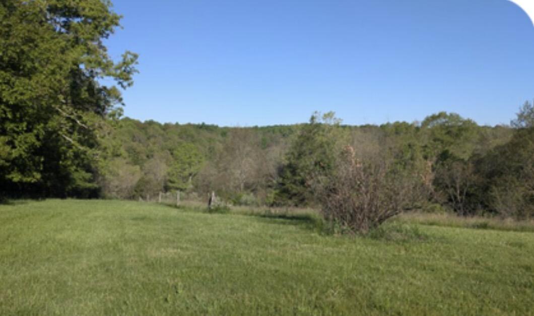 1874 Ogden Ridge Road Mount Olivet, KY 41064 - Photo 30 of 68 IMG_6803