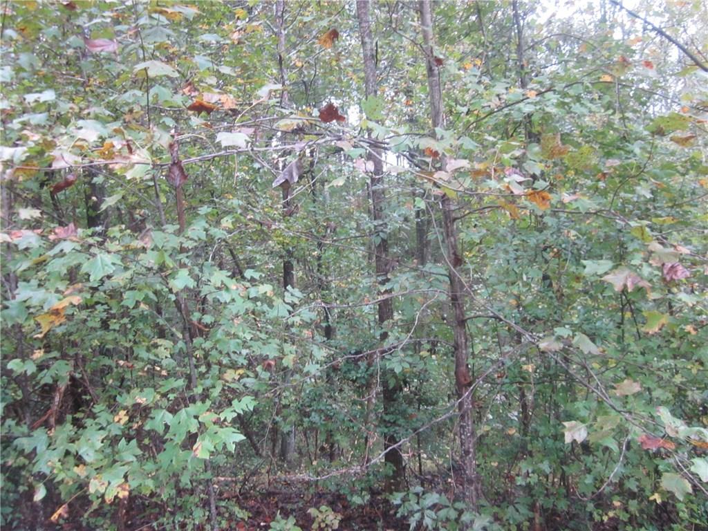 1 Land Road Waleska, GA 30183 - Photo 1 of 1