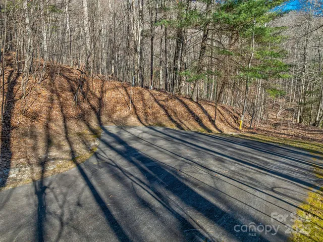 a view of a yard from a window