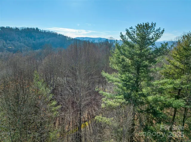 $20,000 | Tbd Ladys Fern Trail, Unit 10, Hendersonville, NC 28739