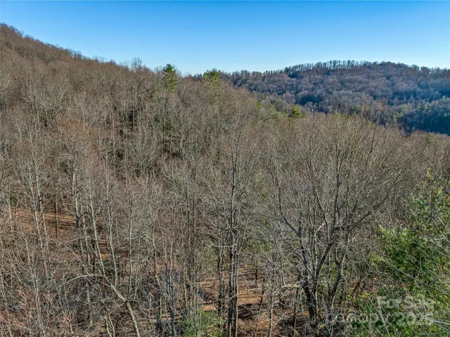 $20,000 | Tbd Ladys Fern Trail, Unit 10, Hendersonville, NC 28739
