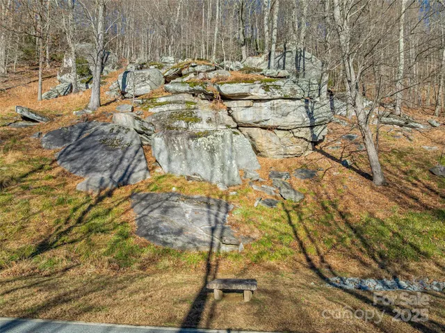 $20,000 | Tbd Ladys Fern Trail, Unit 10, Hendersonville, NC 28739