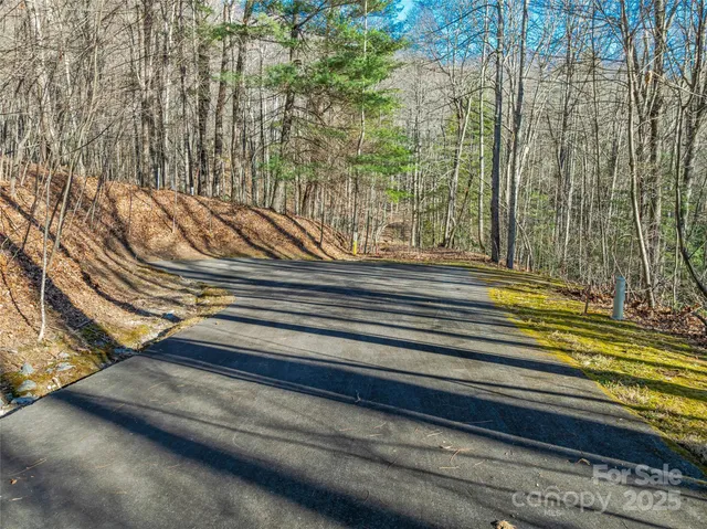 $20,000 | Tbd Ladys Fern Trail, Unit 10, Hendersonville, NC 28739