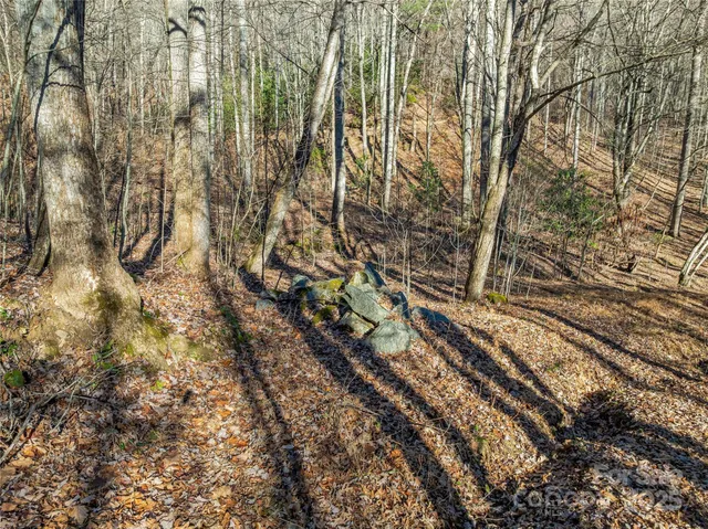 $20,000 | Tbd Ladys Fern Trail, Unit 10, Hendersonville, NC 28739