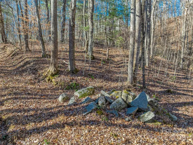 $20,000 | Tbd Ladys Fern Trail, Unit 10, Hendersonville, NC 28739