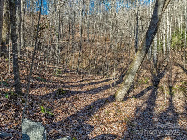 $20,000 | Tbd Ladys Fern Trail, Unit 10, Hendersonville, NC 28739