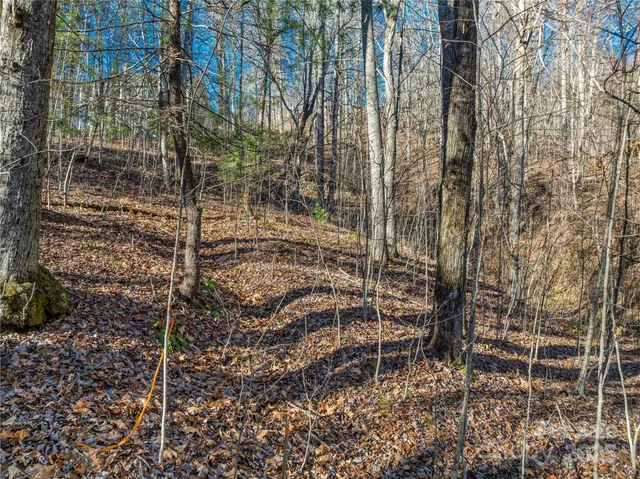 $20,000 | Tbd Ladys Fern Trail, Unit 10, Hendersonville, NC 28739