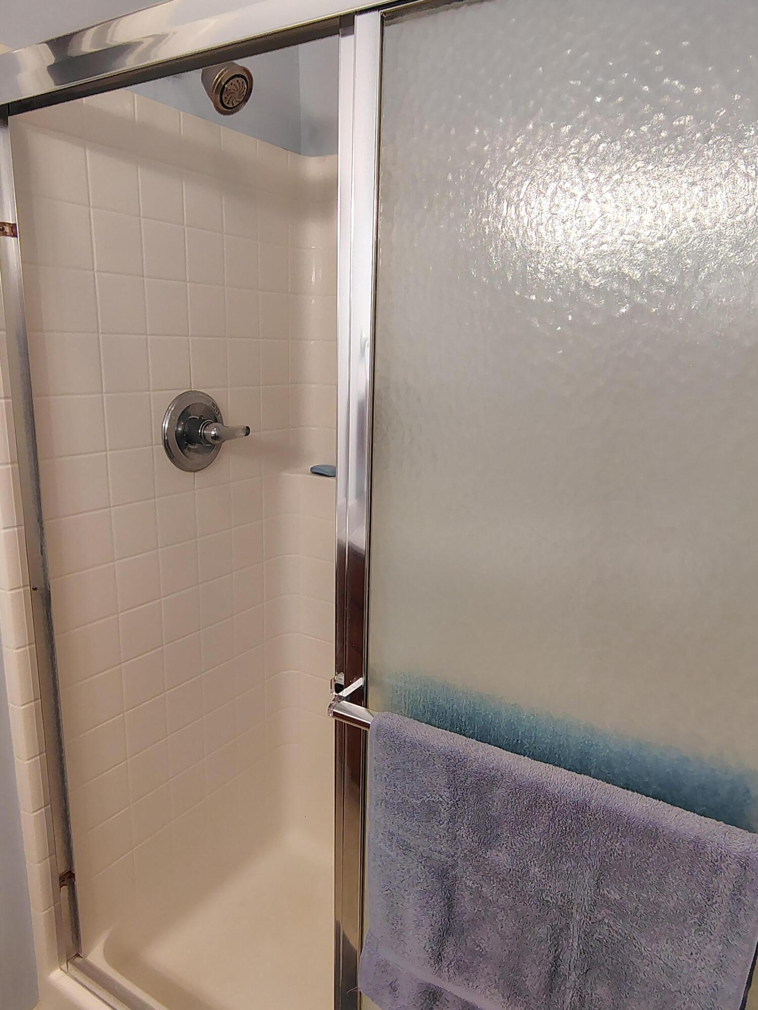 29 Lake Arbu Drive Manning, SC 29102 - Photo 33 of 54 Owner Shower
