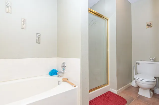 a bathroom with a bathtub and a toilet