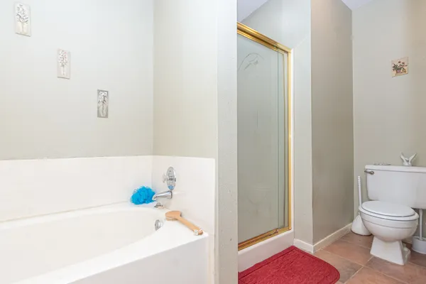 a bathroom with a bathtub and a toilet