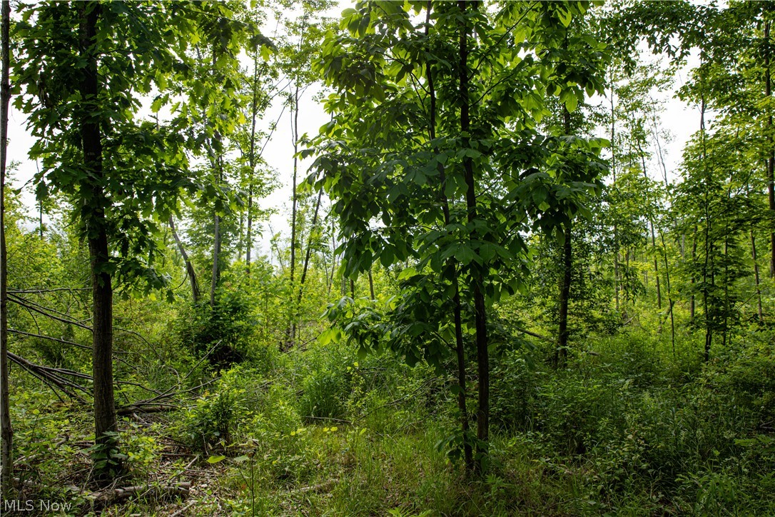 1010 Us Route 6 Rome, OH 44085 - Photo 28 of 37