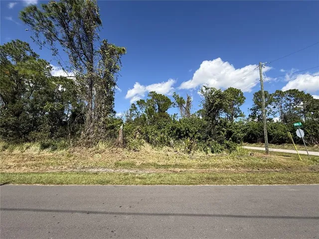 a view of a yard with flower plants