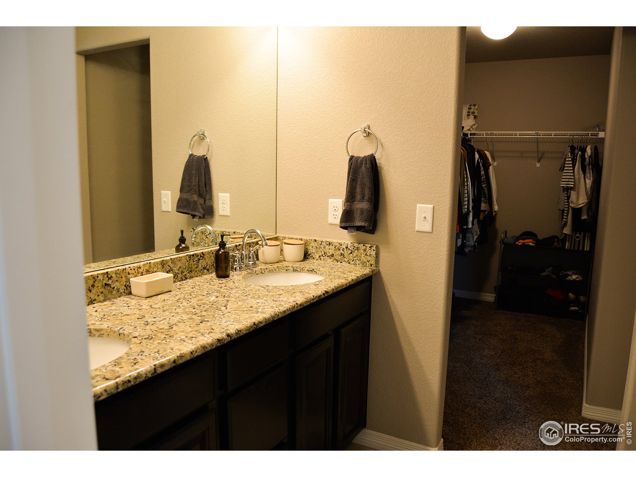 1389 Copeland Falls Road Severance, CO 80550 - Photo 21 of 38 Ensuite with adjacent walk-in closet.