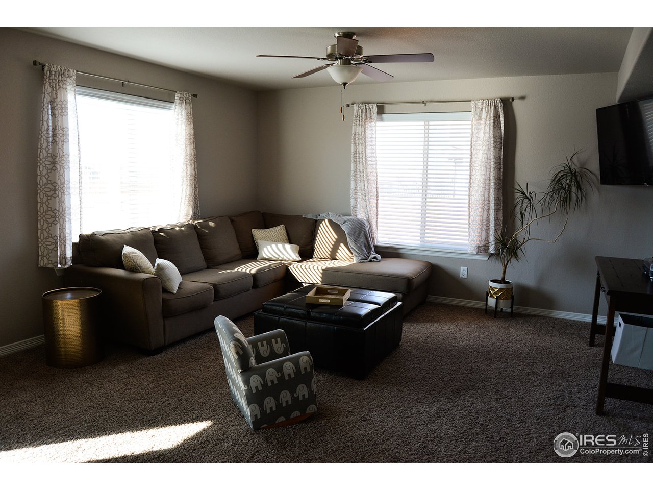1389 Copeland Falls Road Severance, CO 80550 - Photo 6 of 38 Great room with lots of natural light.