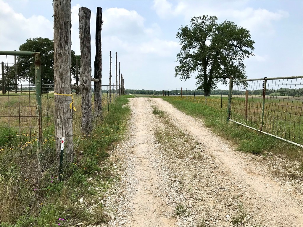 4 Sayers Road Bastrop, TX 78602 - Photo 12 of 15 a view of a lake with a big yard and palm trees