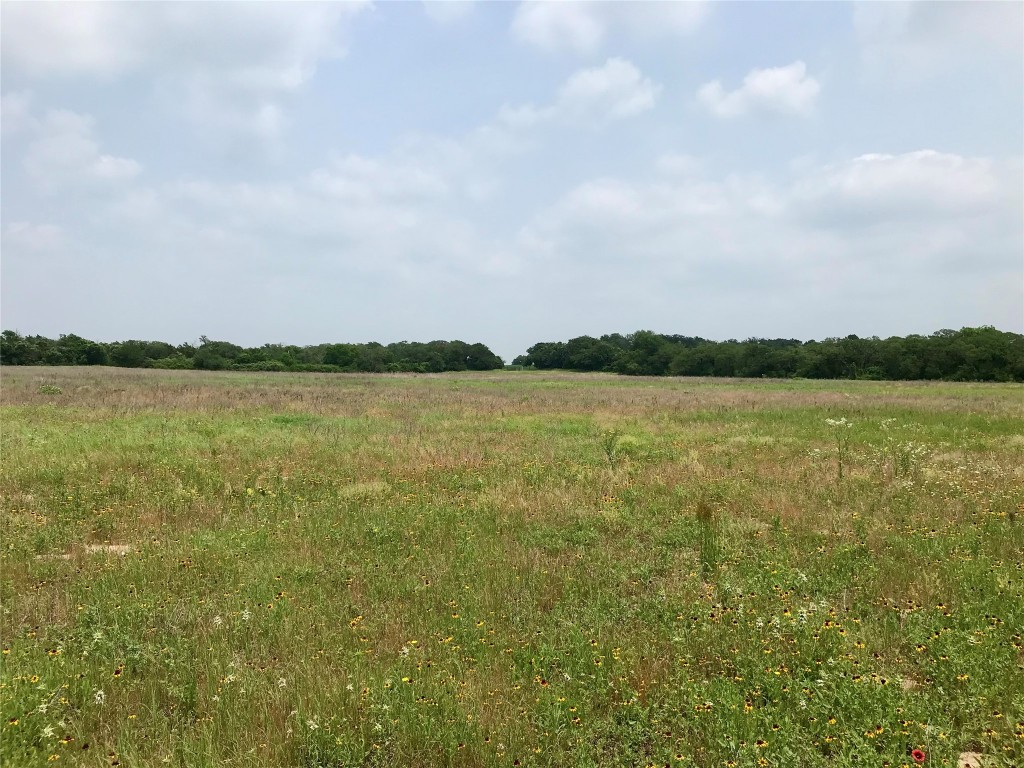 4 Sayers Road Bastrop, TX 78602 - Photo 2 of 15 a view of a lake with houses in the back