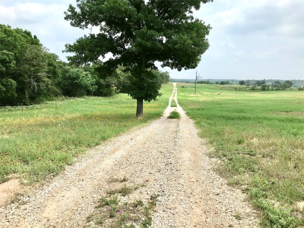 4 Sayers Road Bastrop, TX 78602 - Photo 4 of 15 a view of a park with a tree in the background