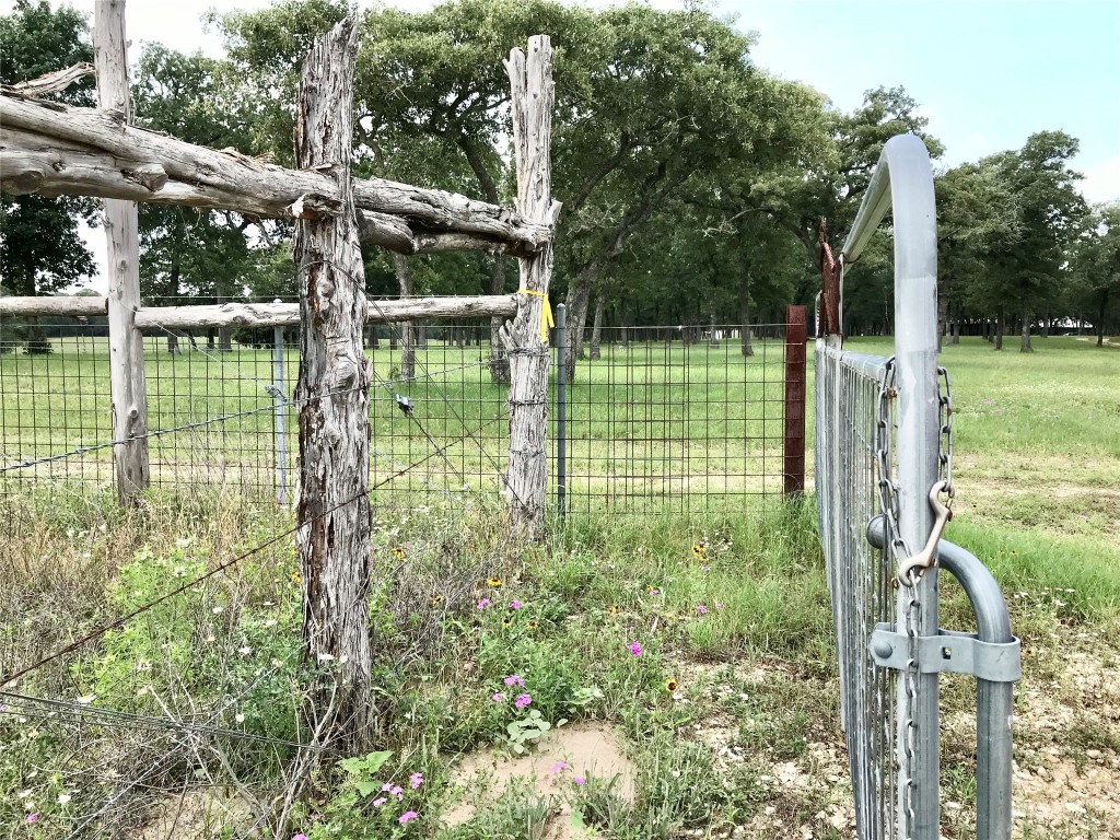 4 Sayers Road Bastrop, TX 78602 - Photo 5 of 15 a view of a garden