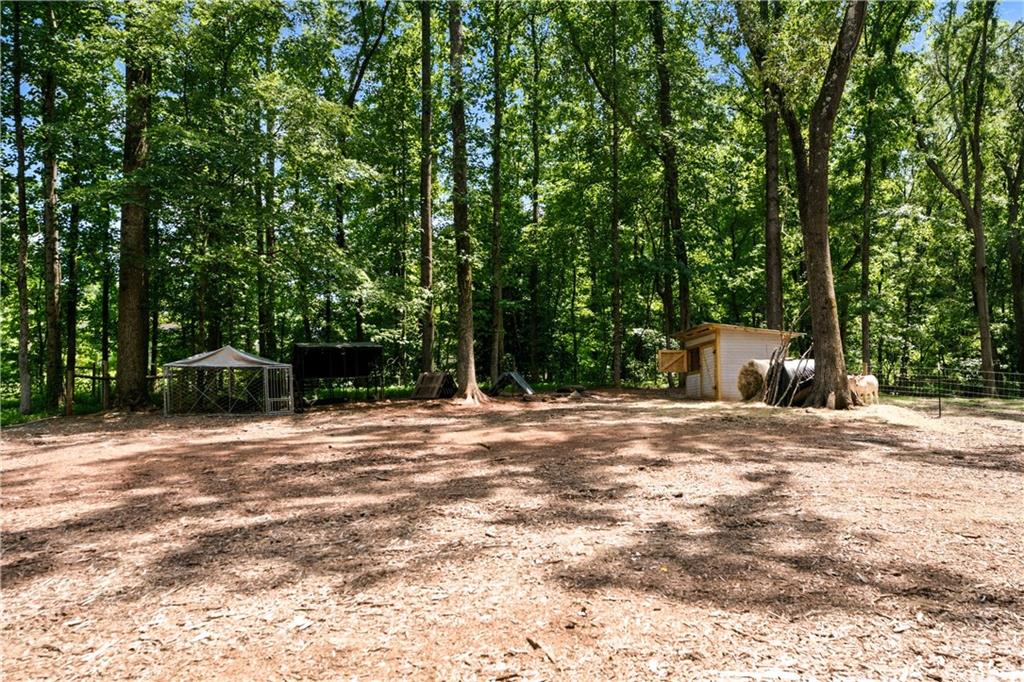 1042 Carl Bramlett Road Winder, GA 30680 - Photo 38 of 42