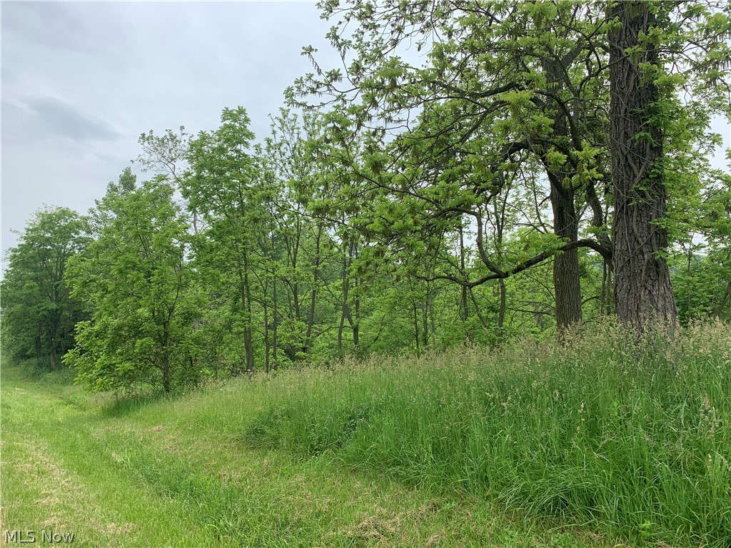 9350 Pawnee Road Homerville, OH 44235 - Photo 18 of 20 Gallery Image 18