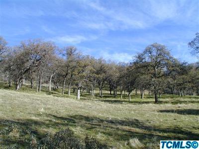 50062 South Fork Drive Three Rivers, CA 93271 - Photo 17 of 18 Additional Photo