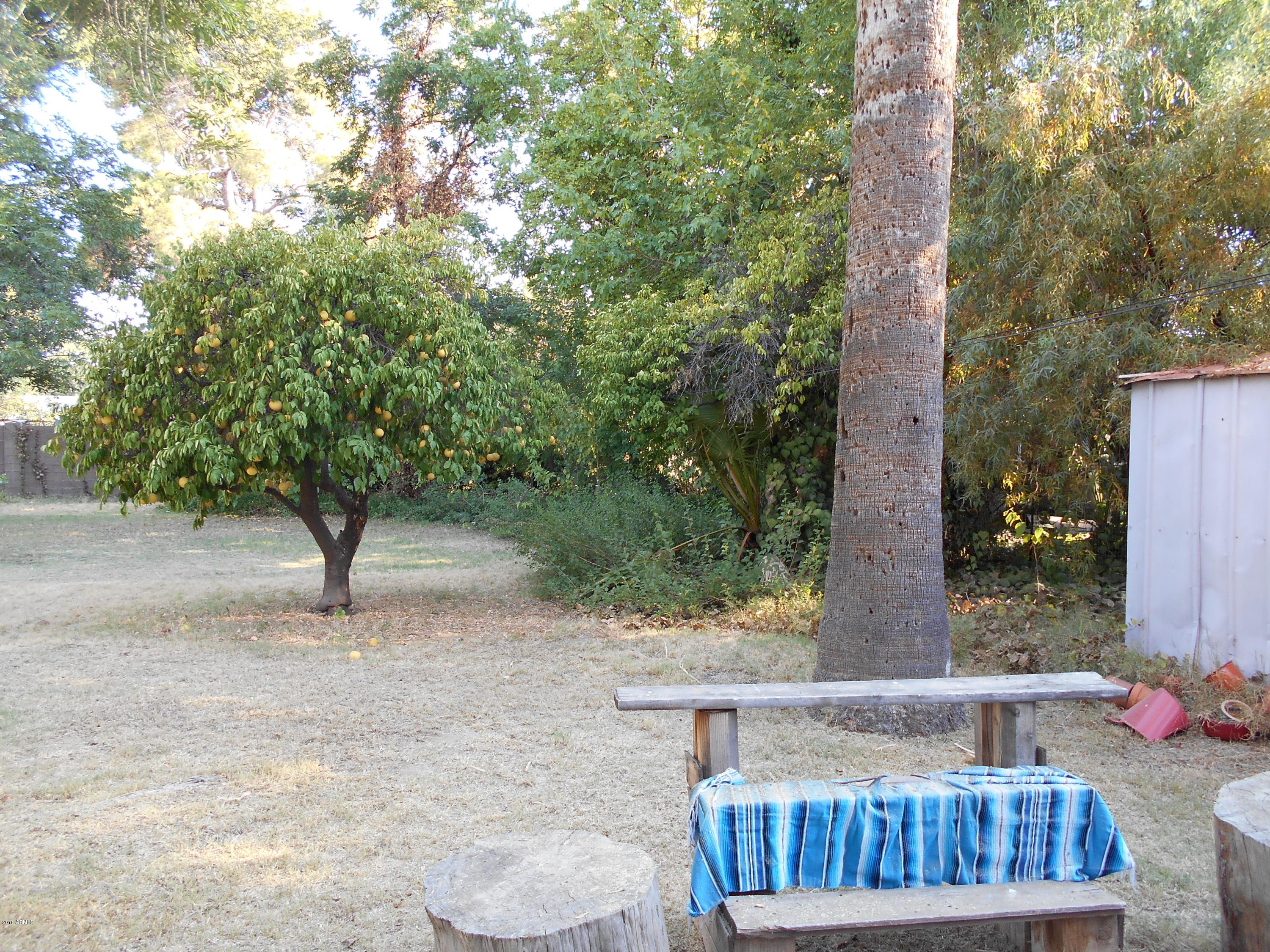 121 East Griswold Road Phoenix, AZ 85020 - Photo 18 of 18 DSCN4426
