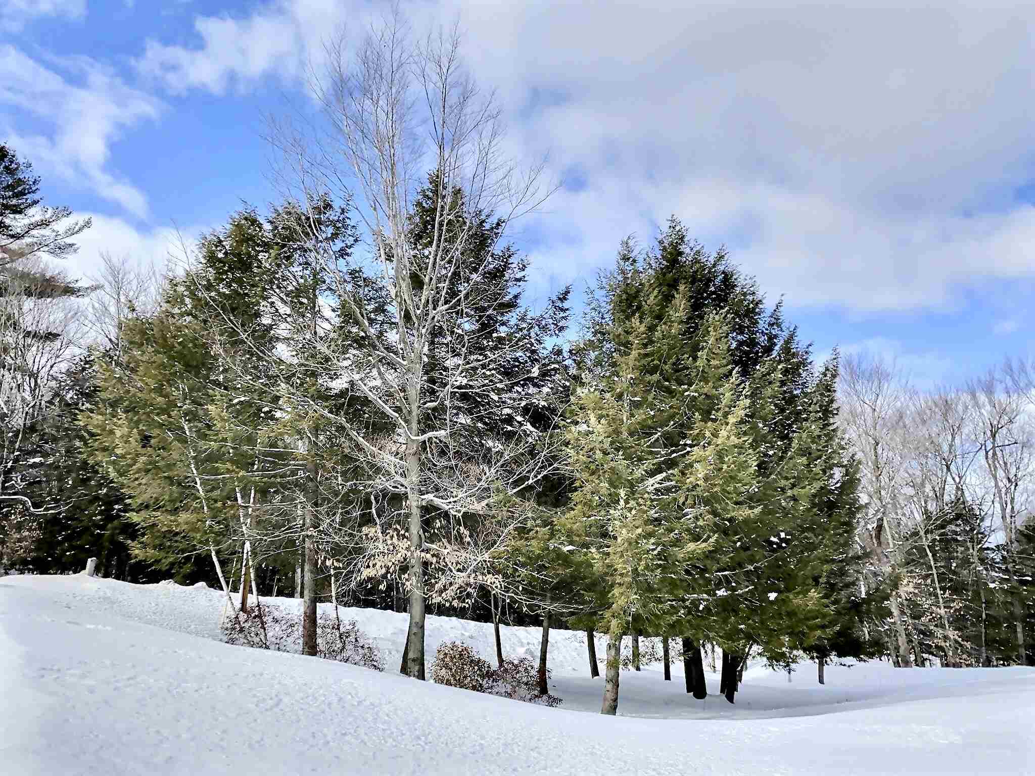 226 Hall Farm Road New London, NH 03257 - Photo 35 of 40