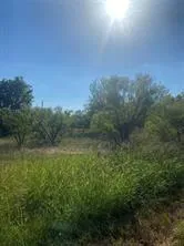 a view of a field of grass and trees