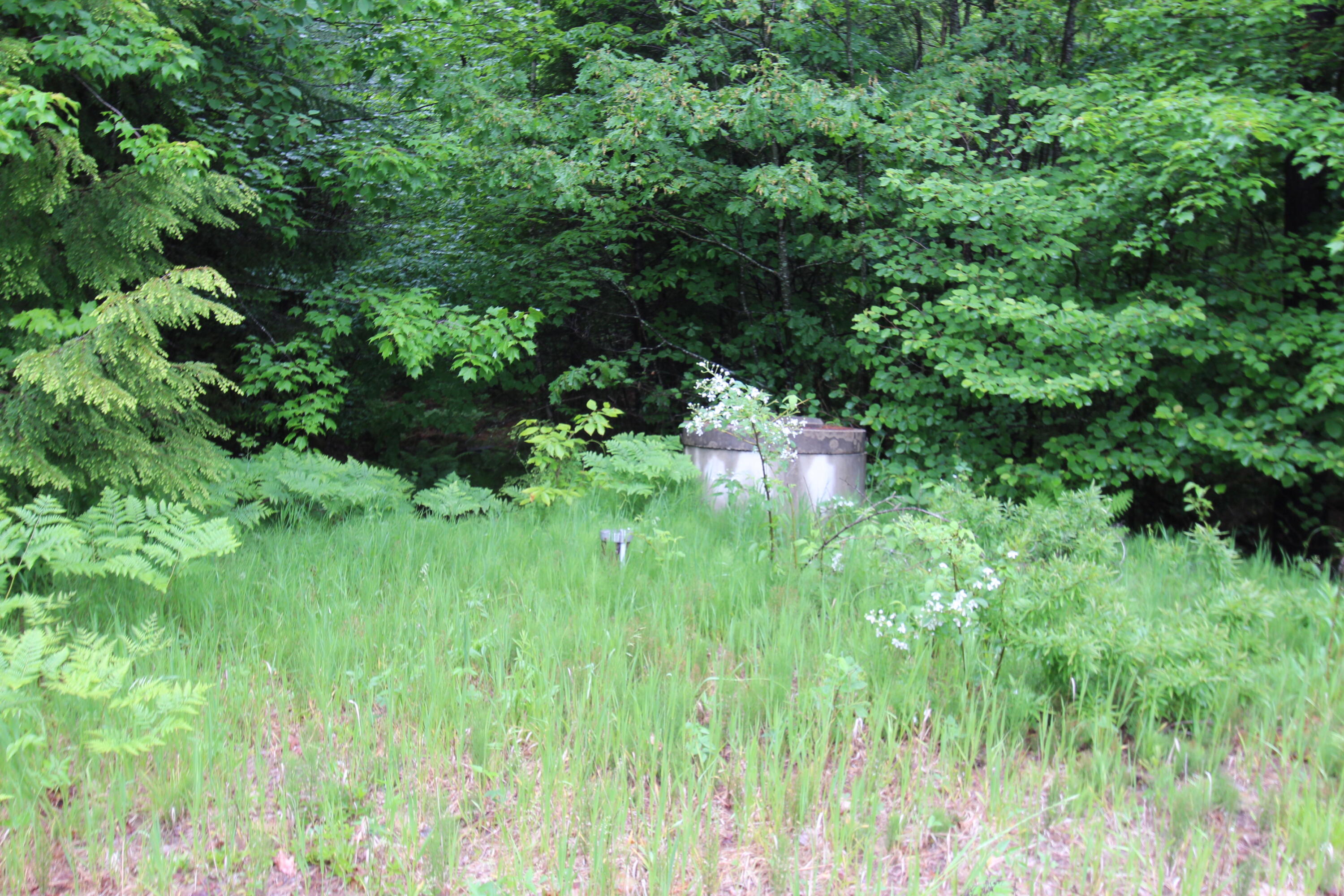205 Tripp Lake Road Poland, ME 04274 - Photo 14 of 22 IMG_0542