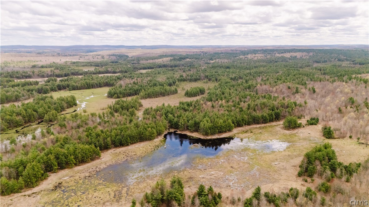 Lot 1 Bingo Road Edwards, NY 13635 - Photo 27 of 28