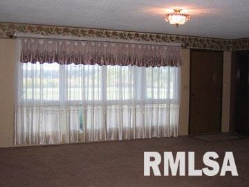 8108 Section Line Road Mulkeytown, IL 62865 - Photo 3 of 10