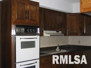 8108 Section Line Road Mulkeytown, IL 62865 - Photo 5 of 10