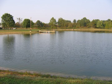 8108 Section Line Road Mulkeytown, IL 62865 - Photo 9 of 10