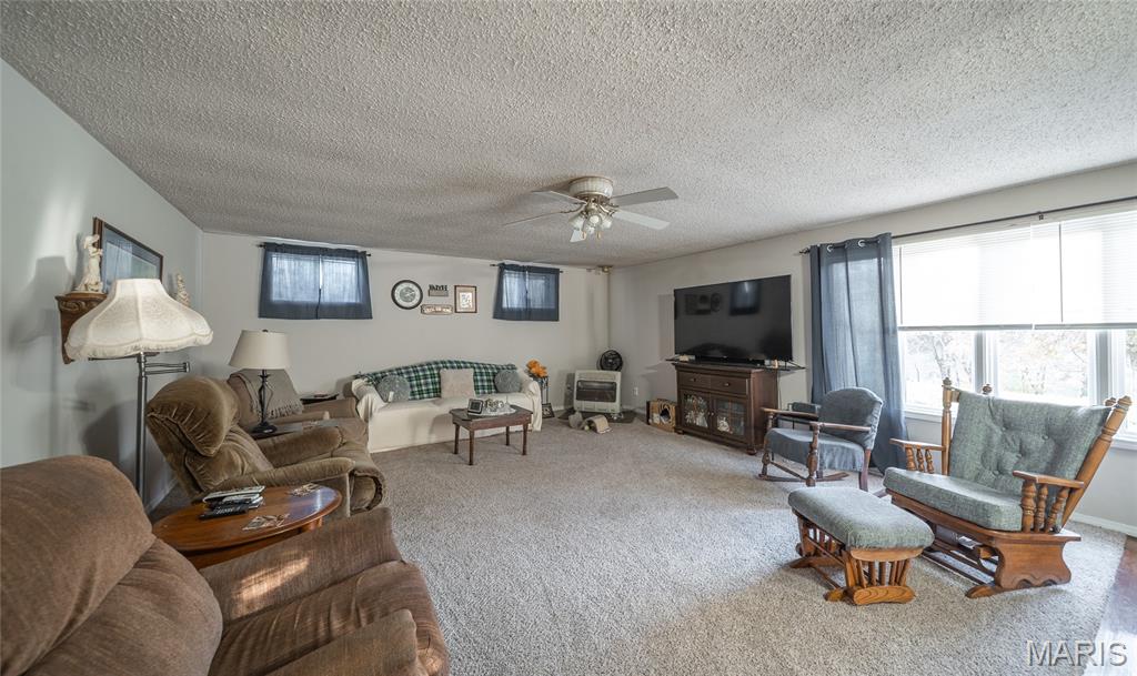 6601 County Line Road Graff, MO 65660 - Photo 13 of 60