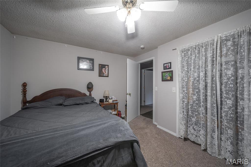 6601 County Line Road Graff, MO 65660 - Photo 21 of 60