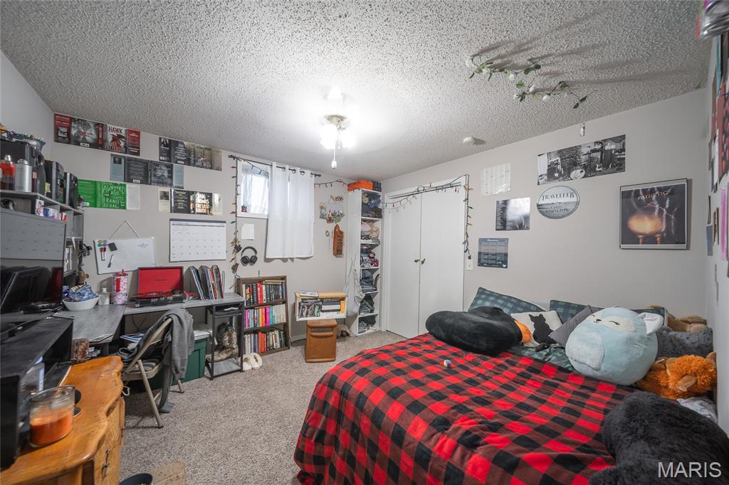 6601 County Line Road Graff, MO 65660 - Photo 25 of 60