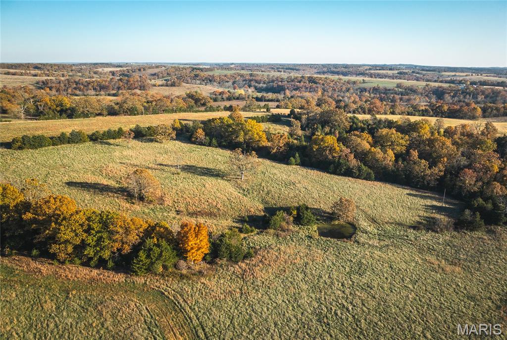 6601 County Line Road Graff, MO 65660 - Photo 4 of 60