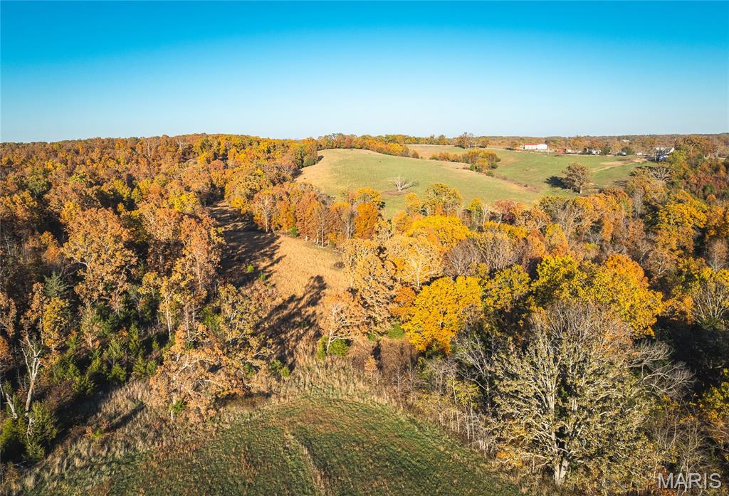 6601 County Line Road Graff, MO 65660 - Photo 42 of 60