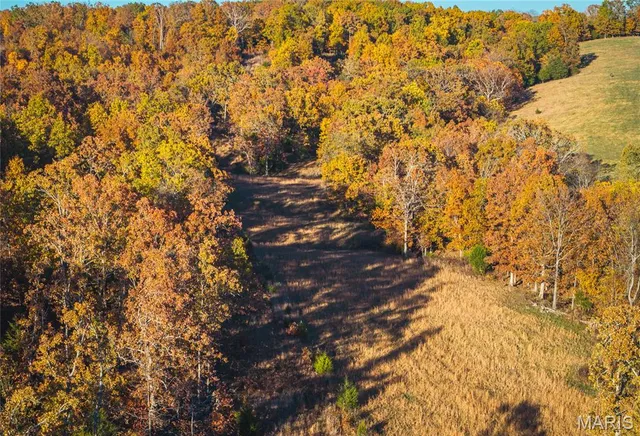 $850,000 | 6601 County Line Road, Graff, MO 65660