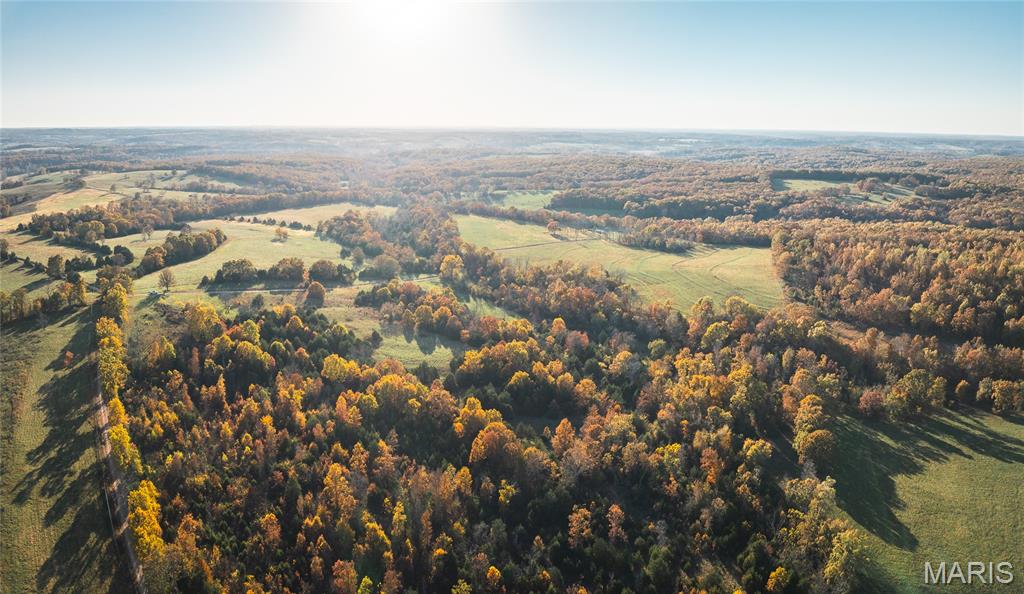 6601 County Line Road Graff, MO 65660 - Photo 46 of 60