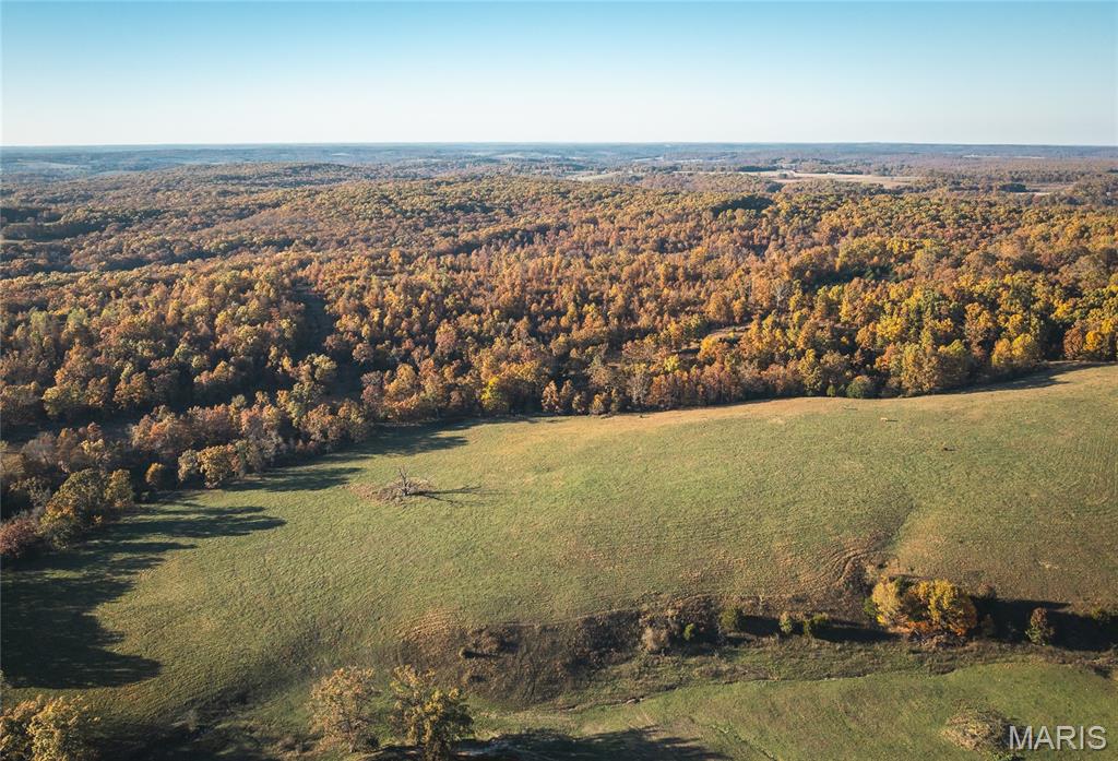 6601 County Line Road Graff, MO 65660 - Photo 47 of 60